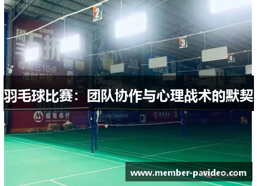 羽毛球比赛:团队协作与心理战术的默契 羽毛球比赛:团队协作与心理战术的默契