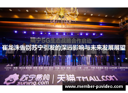 崔龙洙告别苏宁引发的深远影响与未来发展展望