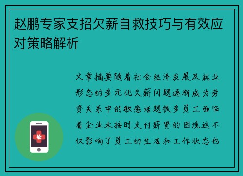 赵鹏专家支招欠薪自救技巧与有效应对策略解析