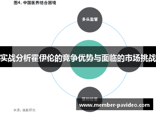 实战分析霍伊伦的竞争优势与面临的市场挑战