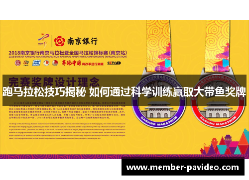 跑马拉松技巧揭秘 如何通过科学训练赢取大带鱼奖牌